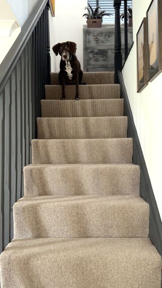 beige and brown striped stair carpet